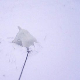 Farewell To Winter Image